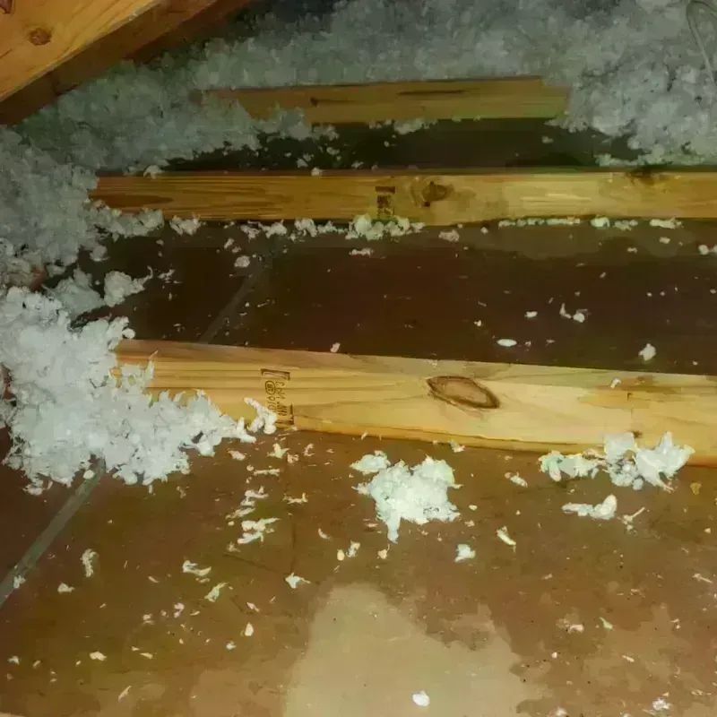 Attic Water Damage in South Hill, NY